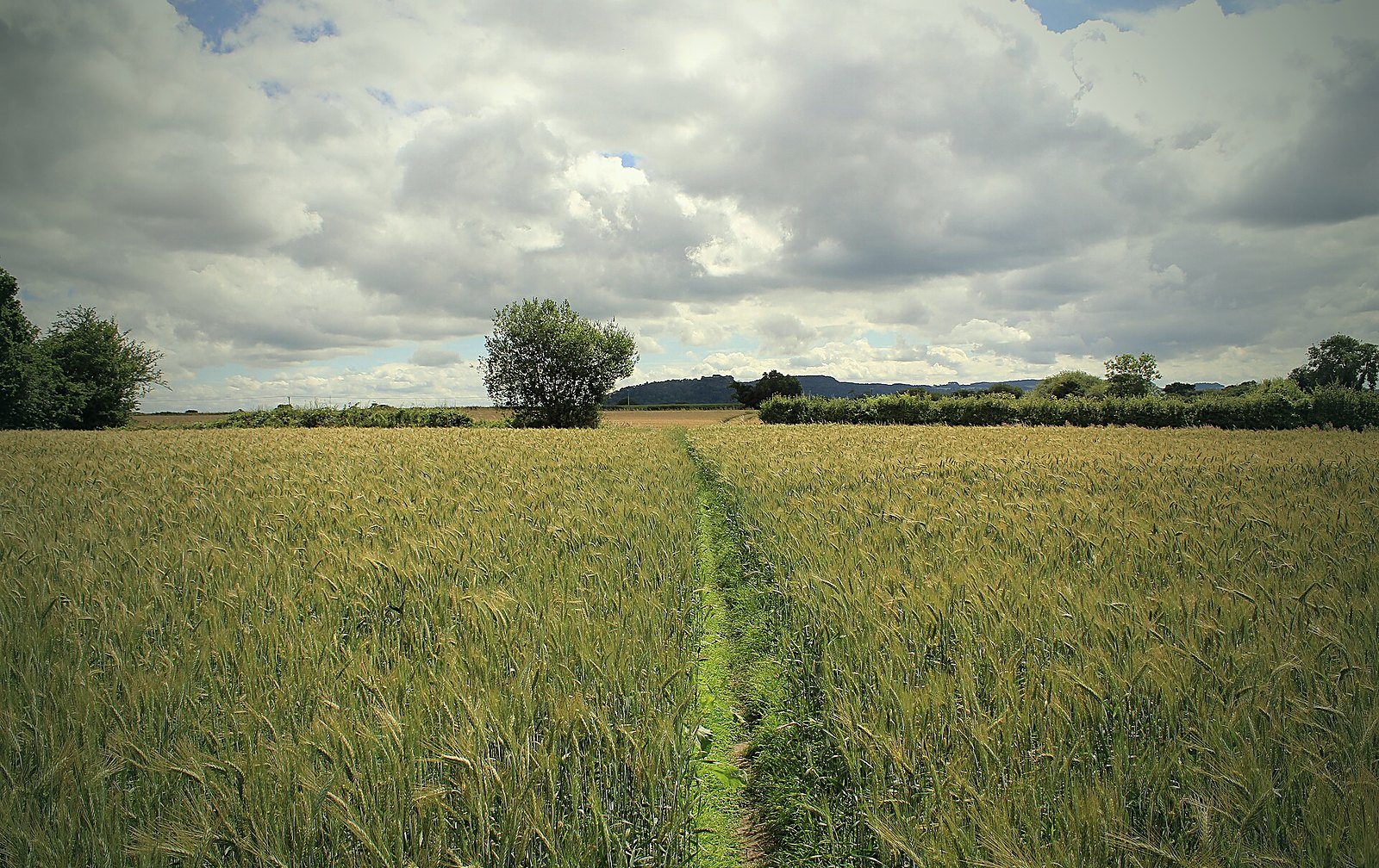 Cheshire countryside near Tarporley